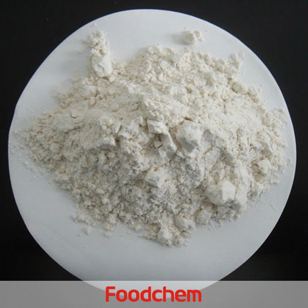 Soy Fiber  FOODFIBER suppliers